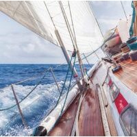 Sikaflex 291 i Sika Marine Sealant and Adhesive BLACK – Box of 12 thumbnail 9